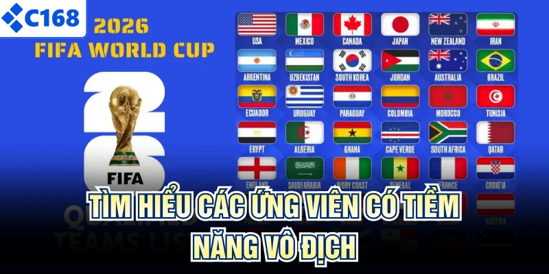 Tìm hiểu các ứng viên có tiềm năng vô địch