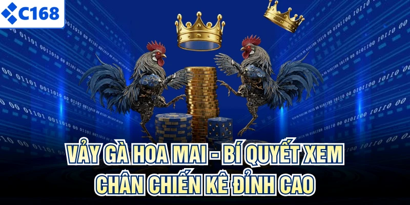 Vảy Gà Hoa Mai - Bí Quyết Xem Chân Chiến Kê Đỉnh Cao